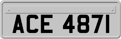 ACE4871
