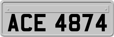 ACE4874