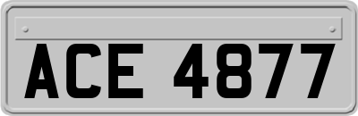 ACE4877