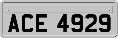 ACE4929