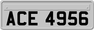 ACE4956
