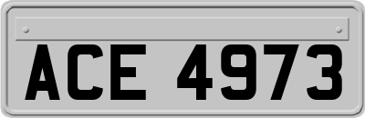 ACE4973