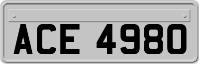 ACE4980