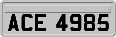 ACE4985