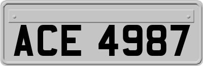 ACE4987