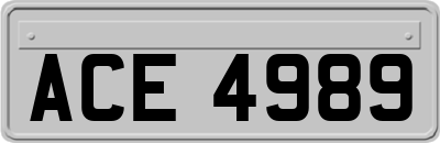 ACE4989