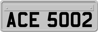 ACE5002