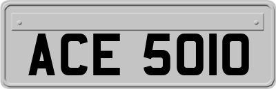 ACE5010