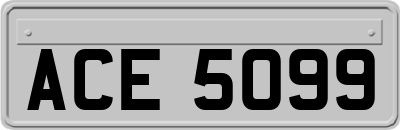 ACE5099