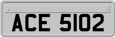 ACE5102