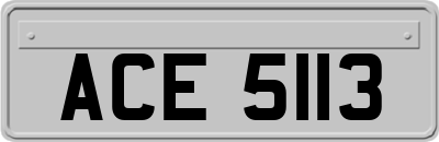 ACE5113