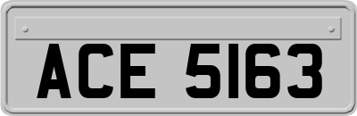 ACE5163