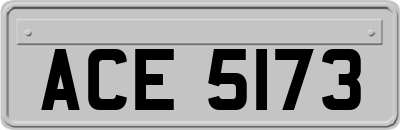 ACE5173