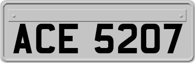 ACE5207