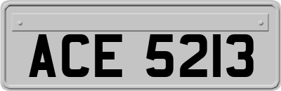 ACE5213