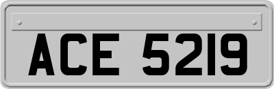 ACE5219