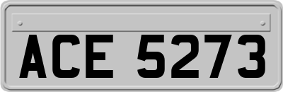 ACE5273