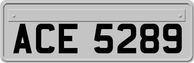ACE5289