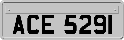 ACE5291