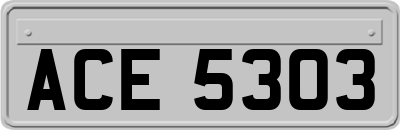 ACE5303