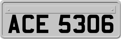 ACE5306