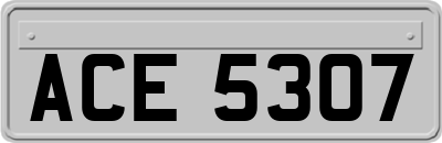 ACE5307