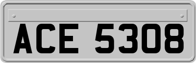ACE5308
