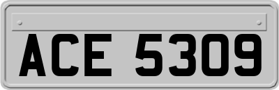 ACE5309