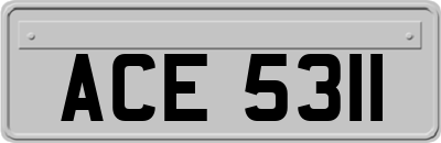 ACE5311