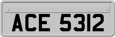 ACE5312
