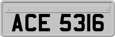 ACE5316