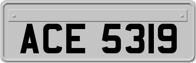ACE5319