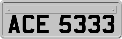 ACE5333