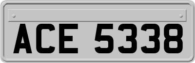 ACE5338