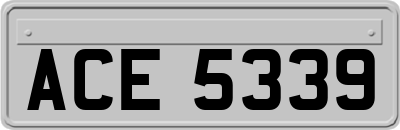 ACE5339
