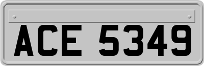 ACE5349
