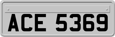 ACE5369