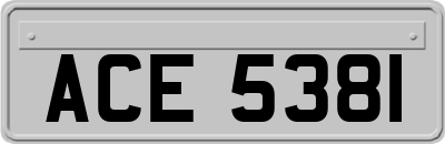 ACE5381