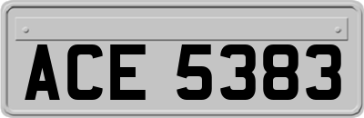 ACE5383
