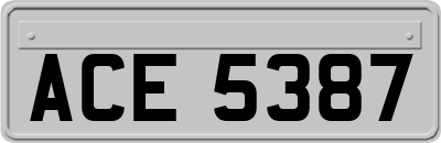 ACE5387