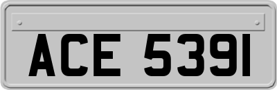 ACE5391