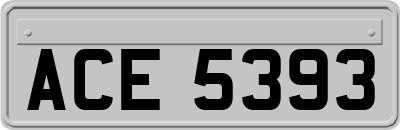ACE5393