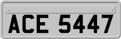 ACE5447