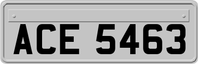 ACE5463