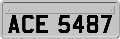 ACE5487