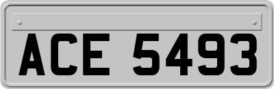 ACE5493