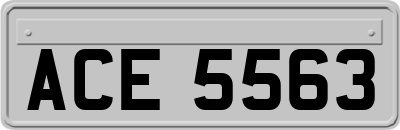 ACE5563