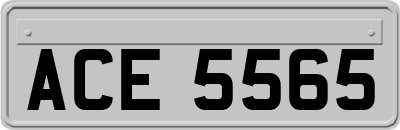 ACE5565