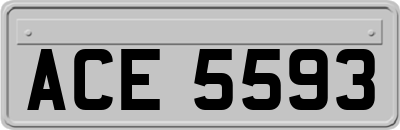 ACE5593