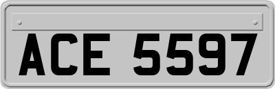ACE5597
